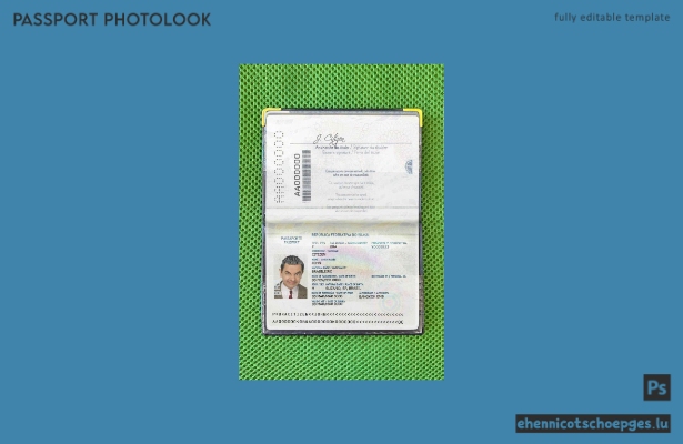 Beispielansicht des Passfotos für brasilianische Pässe 2016–2019